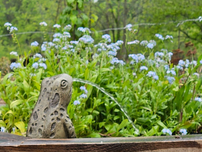 Myosotis scorpioides