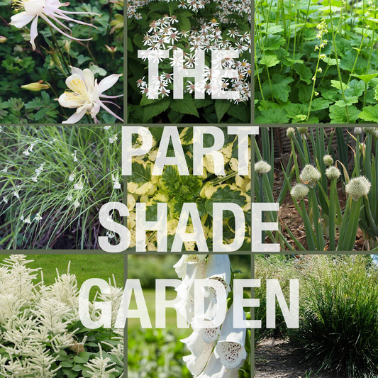 The Part Shade Garden